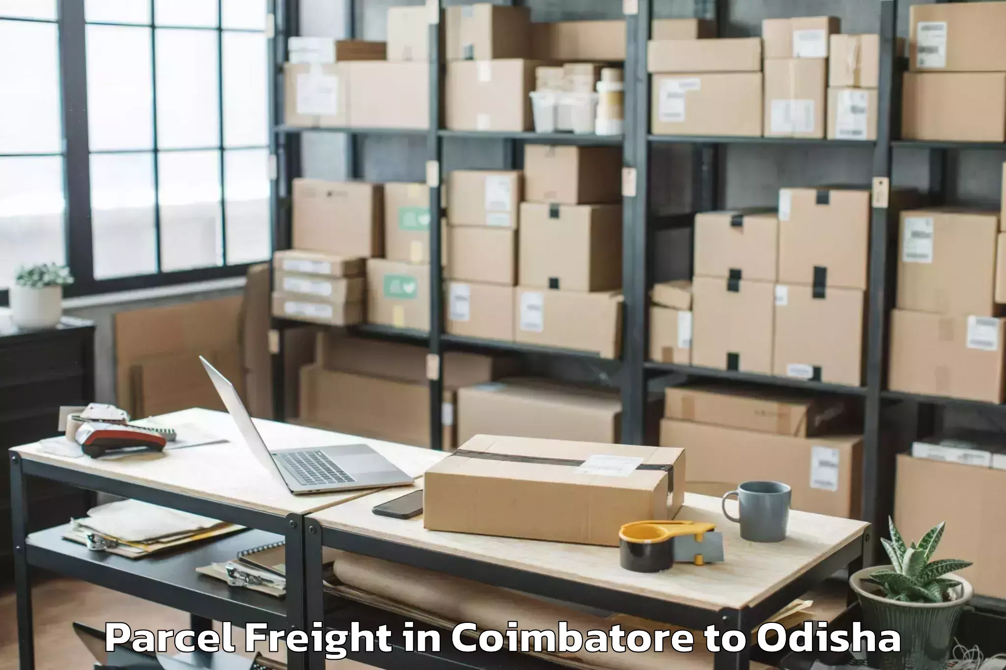 Reliable Coimbatore to Odagaon Parcel Freight